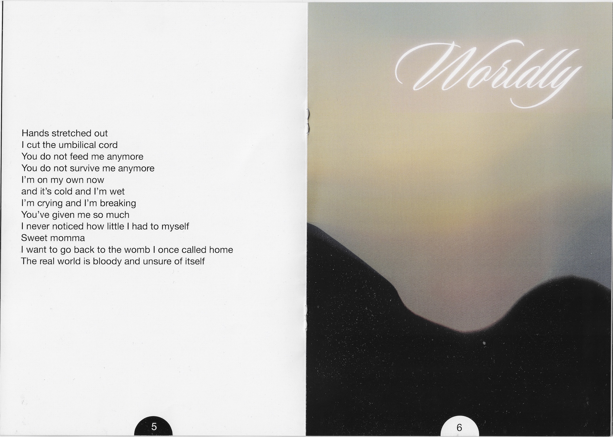 'Worldly' - Pages 5 and 6