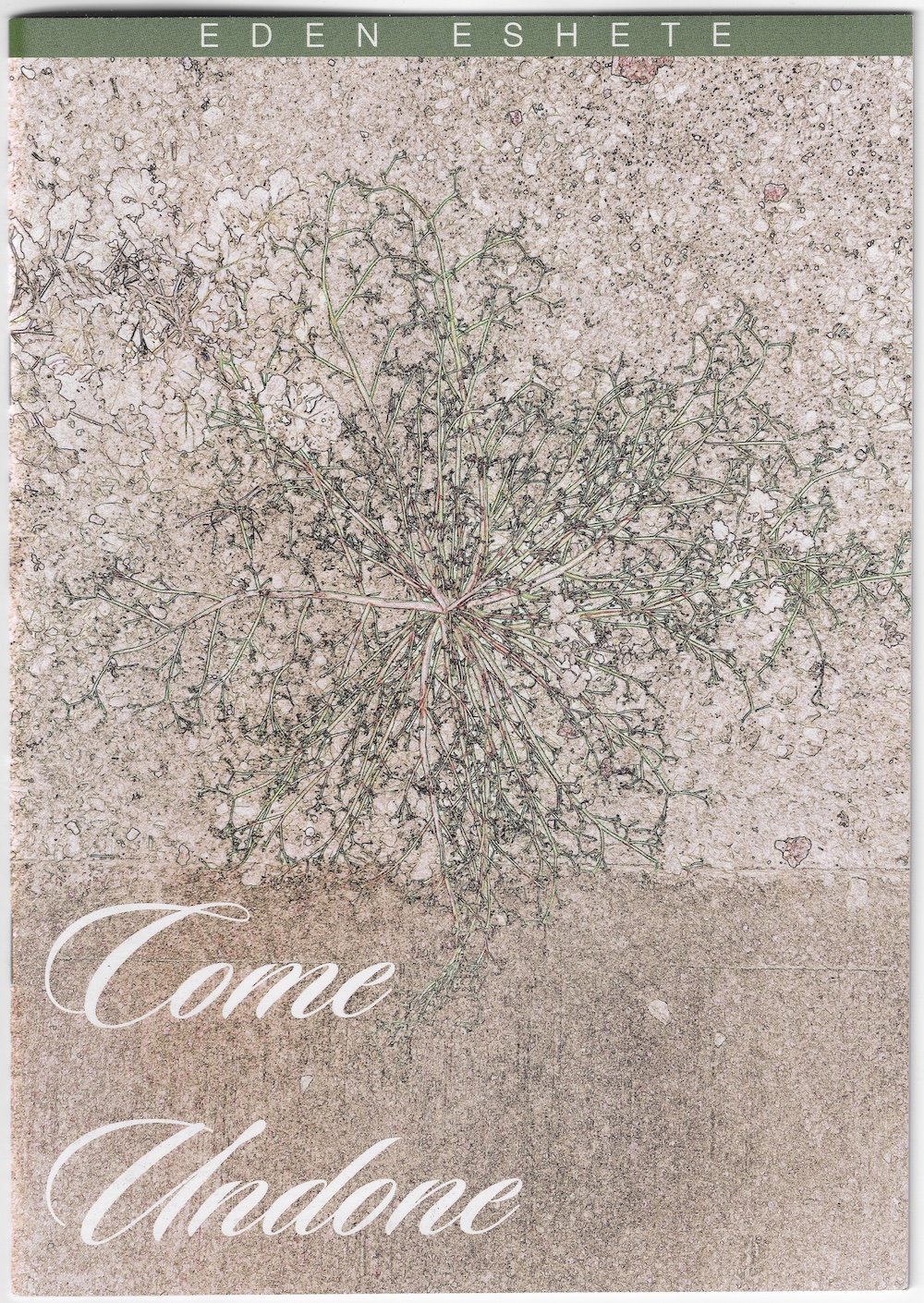 bro why u still shwoing up