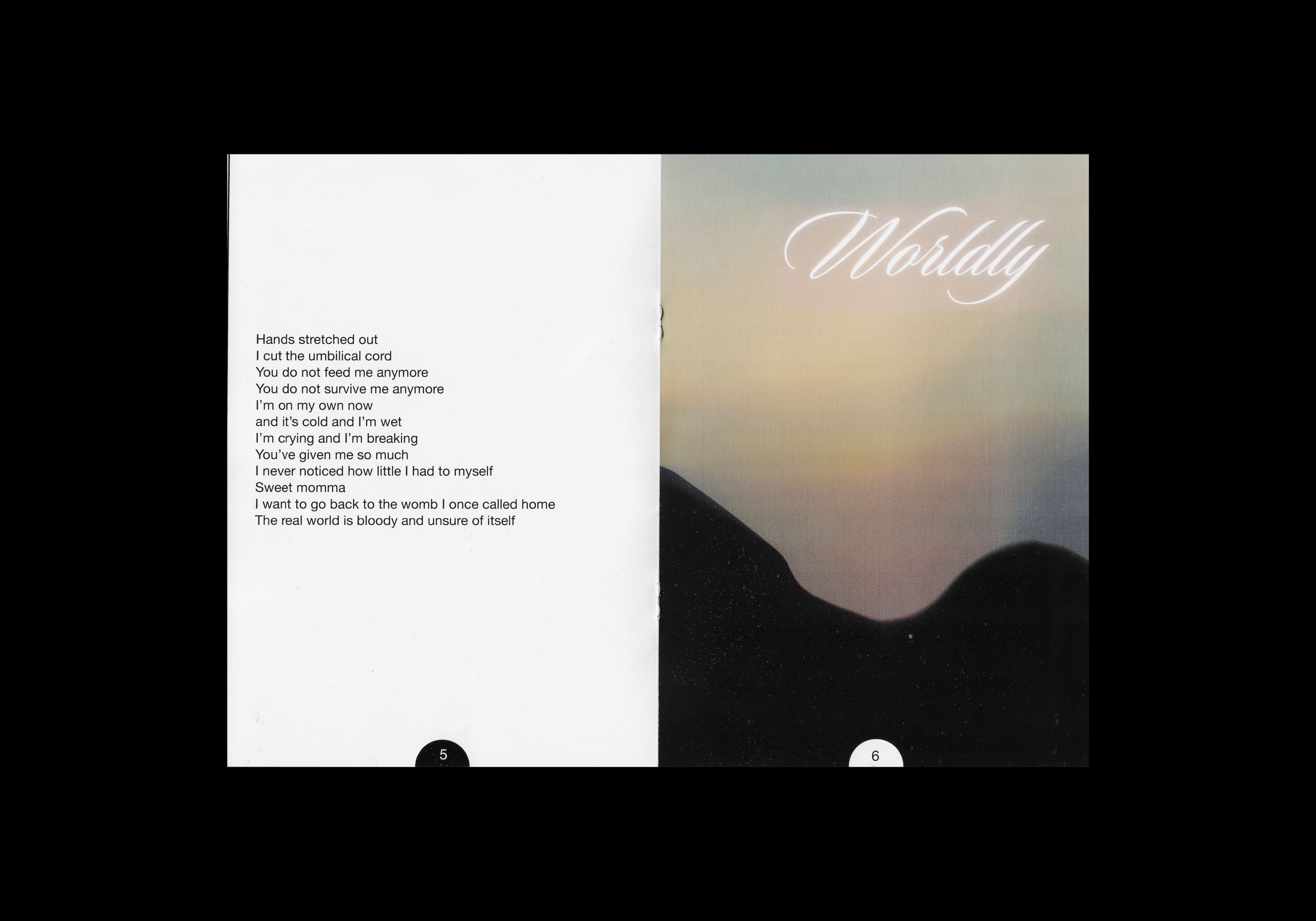 'Worldly' - Pages 5 and 6